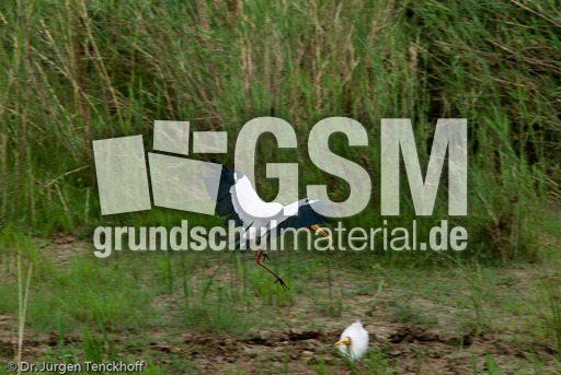 Nimmersatt (20 von 22).jpg